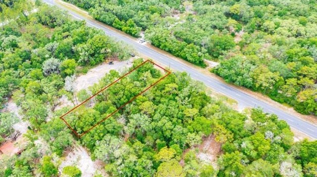 7466 Treiman Blvd, Webster, FL 33597