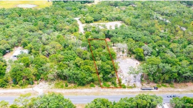 7466 Treiman Blvd, Webster, FL 33597