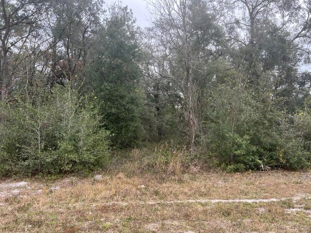 7466 Treiman Blvd, Webster, FL 33597