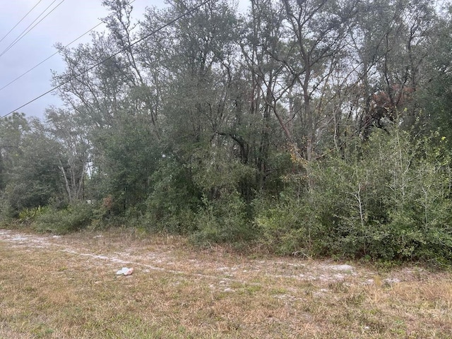 7466 Treiman Blvd, Webster, FL 33597