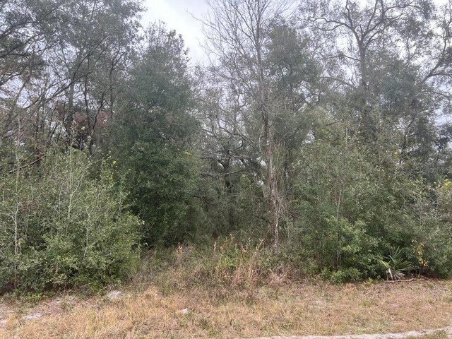 7466 Treiman Blvd, Webster, FL 33597