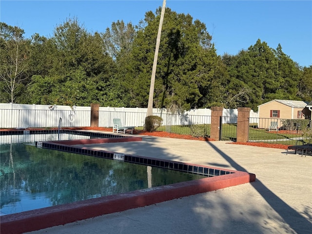 view of pool with a patio