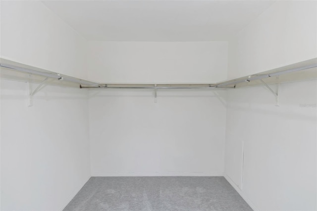 spacious closet featuring light carpet