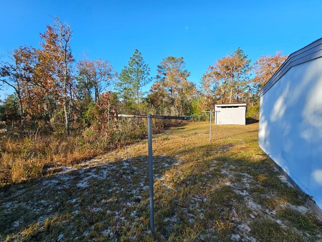 view of yard featuring a storage shed