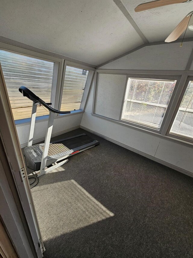 exercise room featuring carpet flooring, ceiling fan, and vaulted ceiling