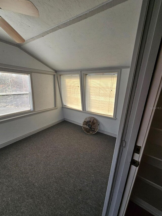 unfurnished sunroom with lofted ceiling