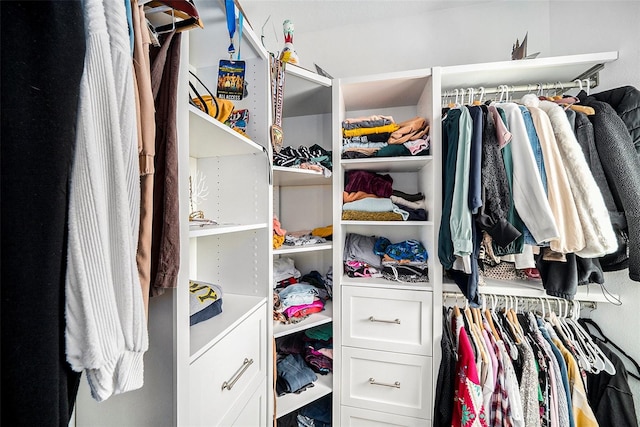 view of spacious closet