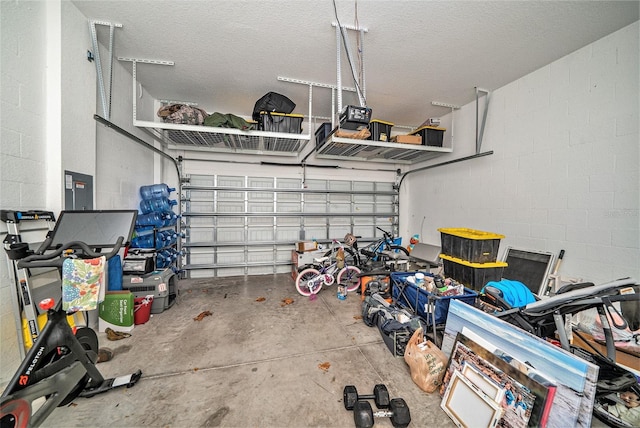 garage with electric panel