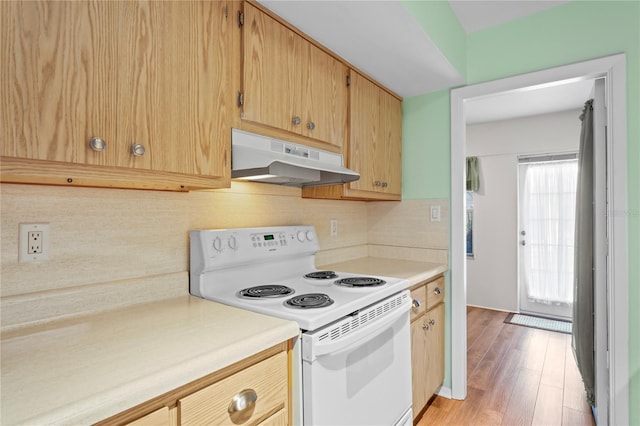 kitchen with decorative backsplash, electric range, a healthy amount of sunlight, and light wood-type flooring