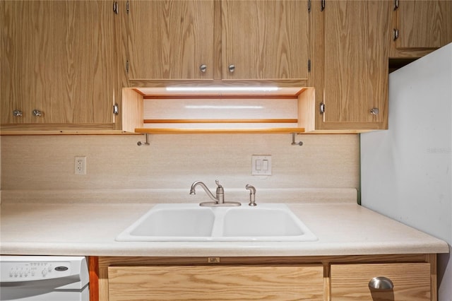 kitchen with sink and white dishwasher