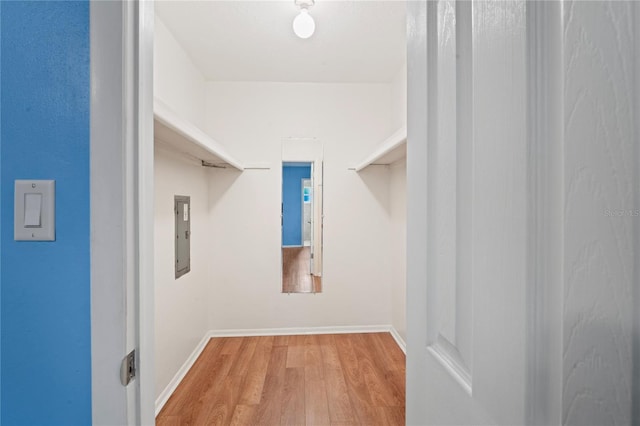 walk in closet with electric panel and light hardwood / wood-style flooring