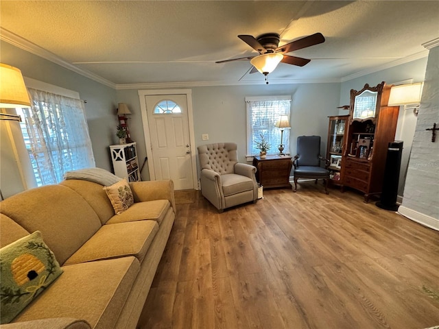 living room featuring hardwood / wood-style flooring, ceiling fan, crown molding, and a textured ceiling