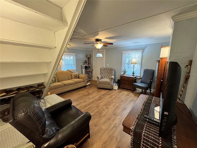 living room featuring ceiling fan, light hardwood / wood-style flooring, and ornamental molding