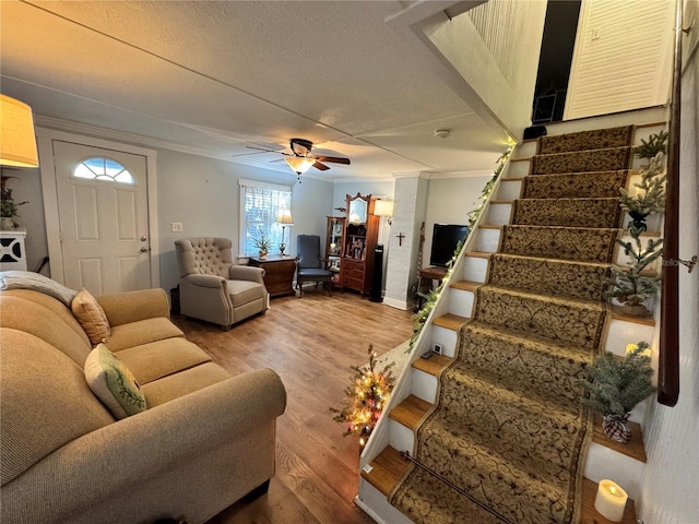 living room with hardwood / wood-style floors, ceiling fan, crown molding, and a textured ceiling