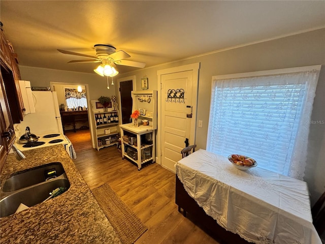 interior space featuring a wealth of natural light, sink, ceiling fan, and wood-type flooring