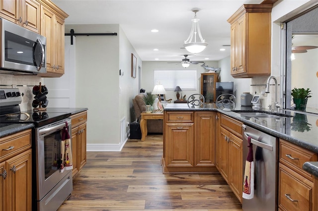 kitchen with sink, hanging light fixtures, dark hardwood / wood-style floors, a barn door, and stainless steel appliances