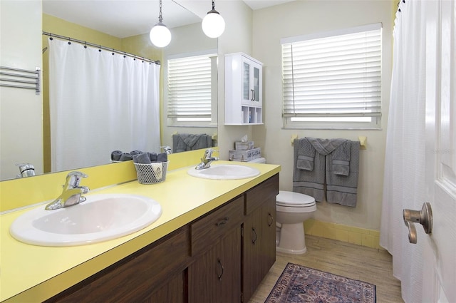 bathroom featuring vanity, hardwood / wood-style flooring, and toilet