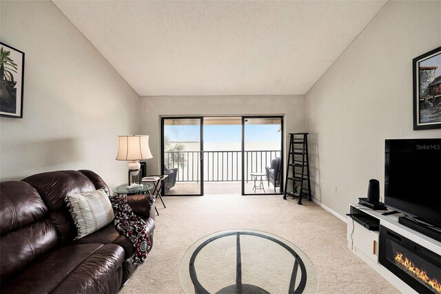 carpeted living room with vaulted ceiling and a textured ceiling