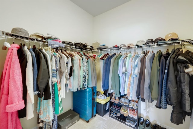 spacious closet featuring carpet