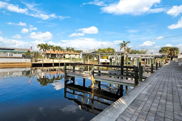 dock area with a water view