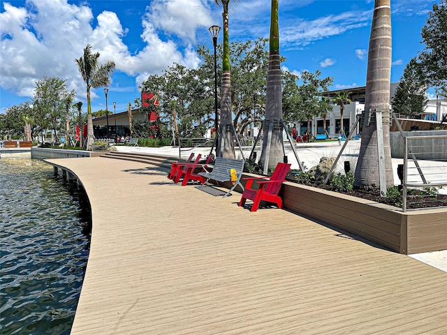 dock area with a water view