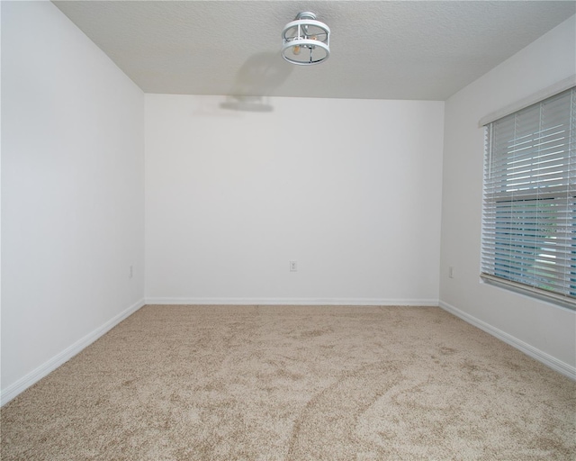 empty room featuring carpet flooring and a textured ceiling