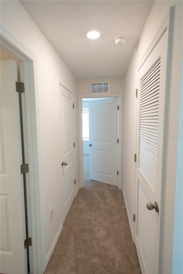 hallway featuring carpet floors