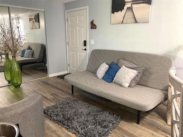 living room featuring wood-type flooring