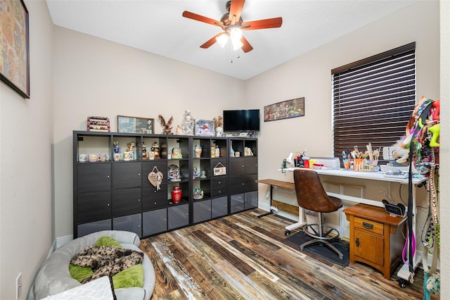 home office with ceiling fan and dark hardwood / wood-style flooring