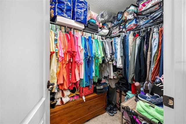 spacious closet with carpet