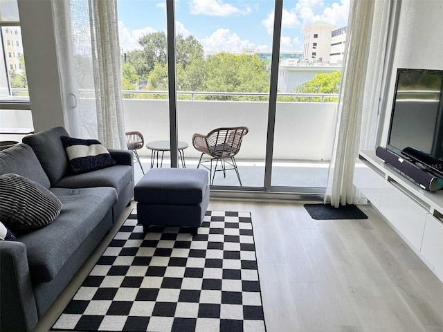 living room with wood-type flooring