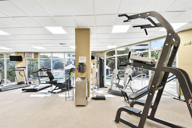 470 3rd St S Unit 405, Saint Petersburg, FL 33701 - workout area with floor to ceiling windows, a drop ceiling, carpet flooring, and an AC wall unit