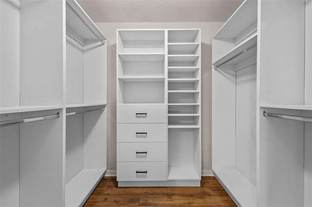 walk in closet with dark wood finished floors