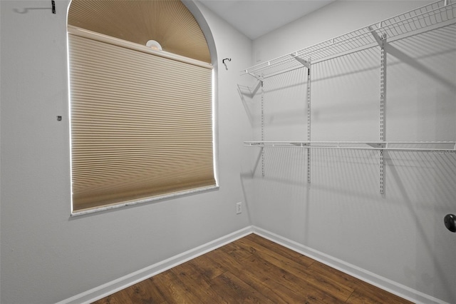 walk in closet featuring wood finished floors