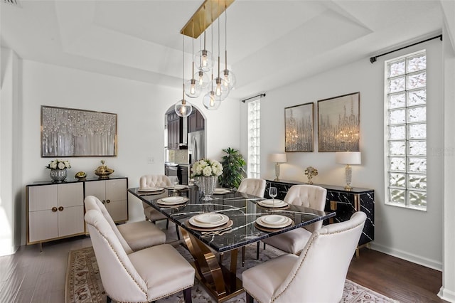 dining area with a tray ceiling, dark wood finished floors, and baseboards