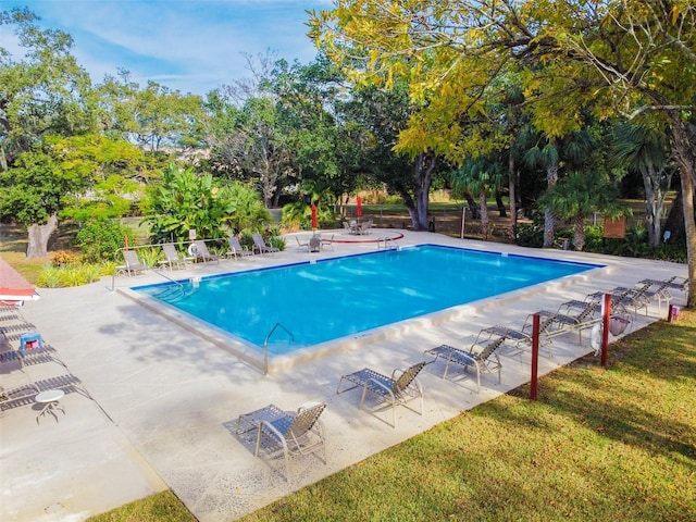 view of swimming pool with a patio area and a yard