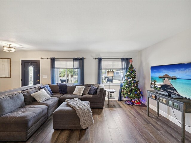 living room with wood-type flooring