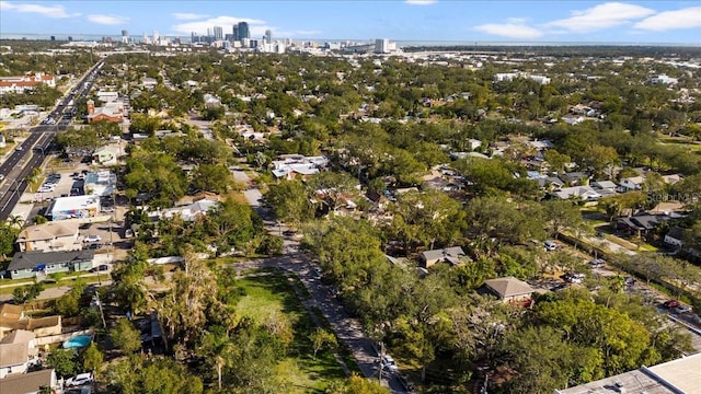 bird's eye view