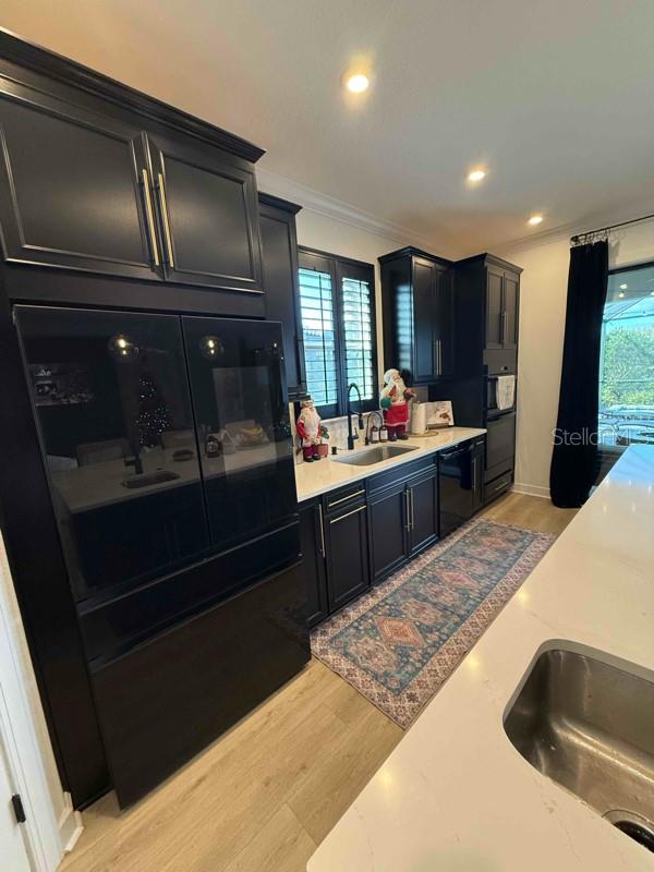 kitchen with light hardwood / wood-style floors, ornamental molding, and sink