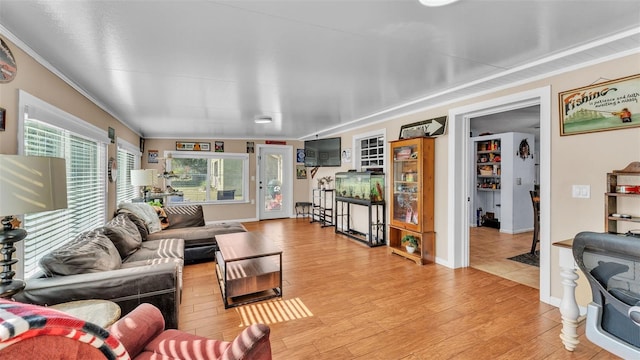 living room with french doors and light hardwood / wood-style floors