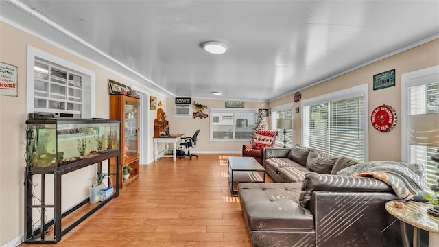 living room with light hardwood / wood-style flooring