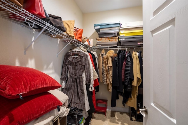 walk in closet featuring carpet floors