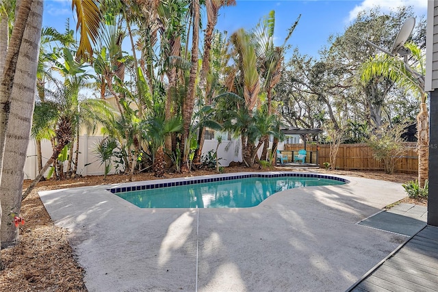 view of pool with a patio