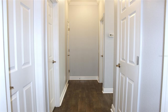 hall featuring crown molding and dark wood-type flooring