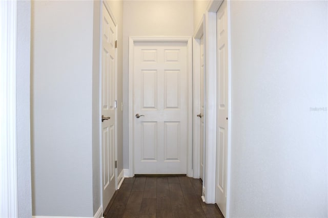 hallway featuring dark wood-type flooring