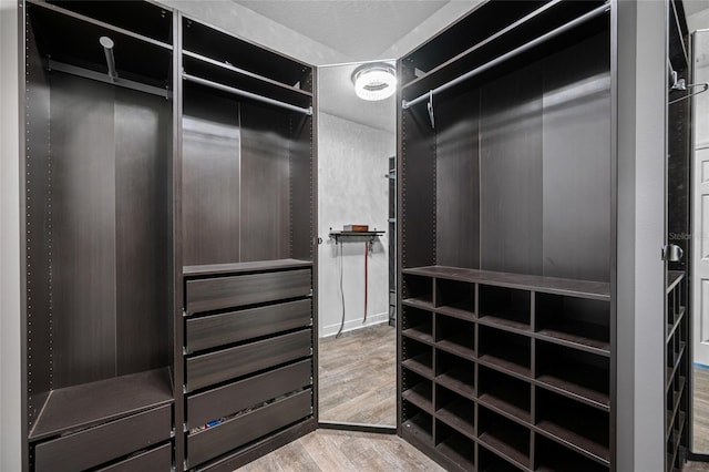 spacious closet featuring wood finished floors