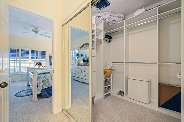 spacious closet featuring carpet flooring and ceiling fan