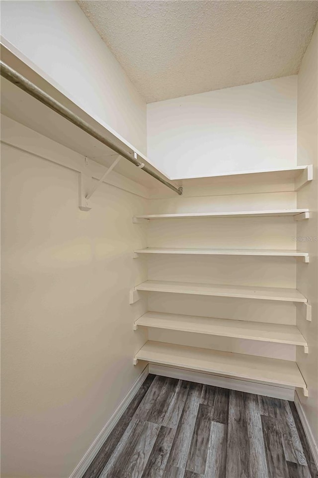 spacious closet with dark wood-type flooring