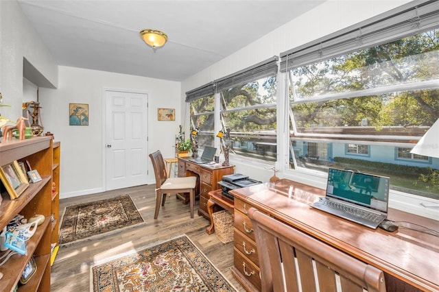 office featuring hardwood / wood-style floors