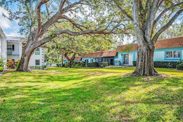 200 Glennes Ln Unit 206, Dunedin, FL 34698 - photo 22